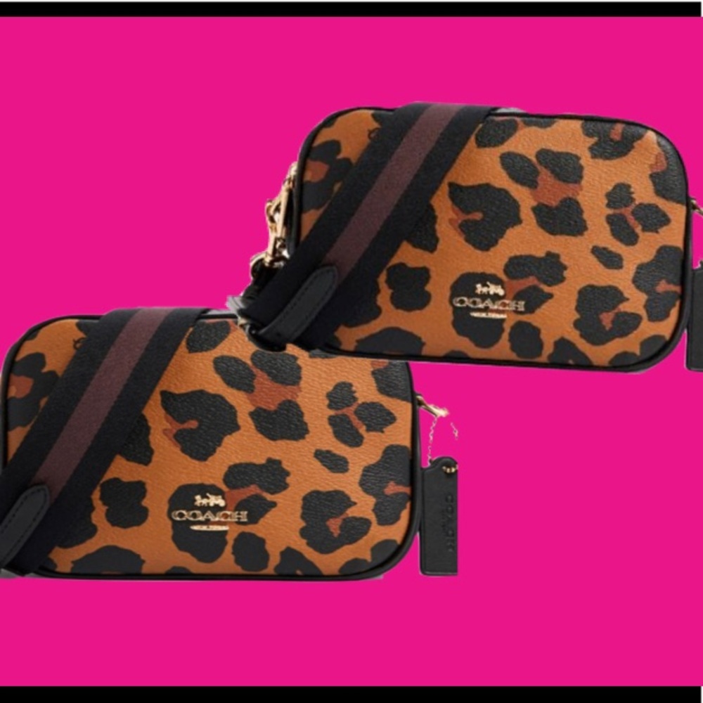 cheetah lishisss